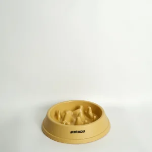 Pet Slow Feeder Bowl