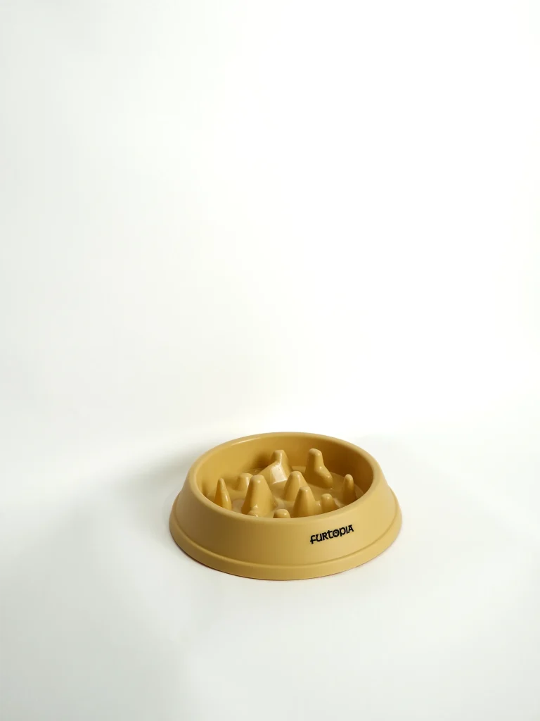 Pet Slow Feeder Bowl