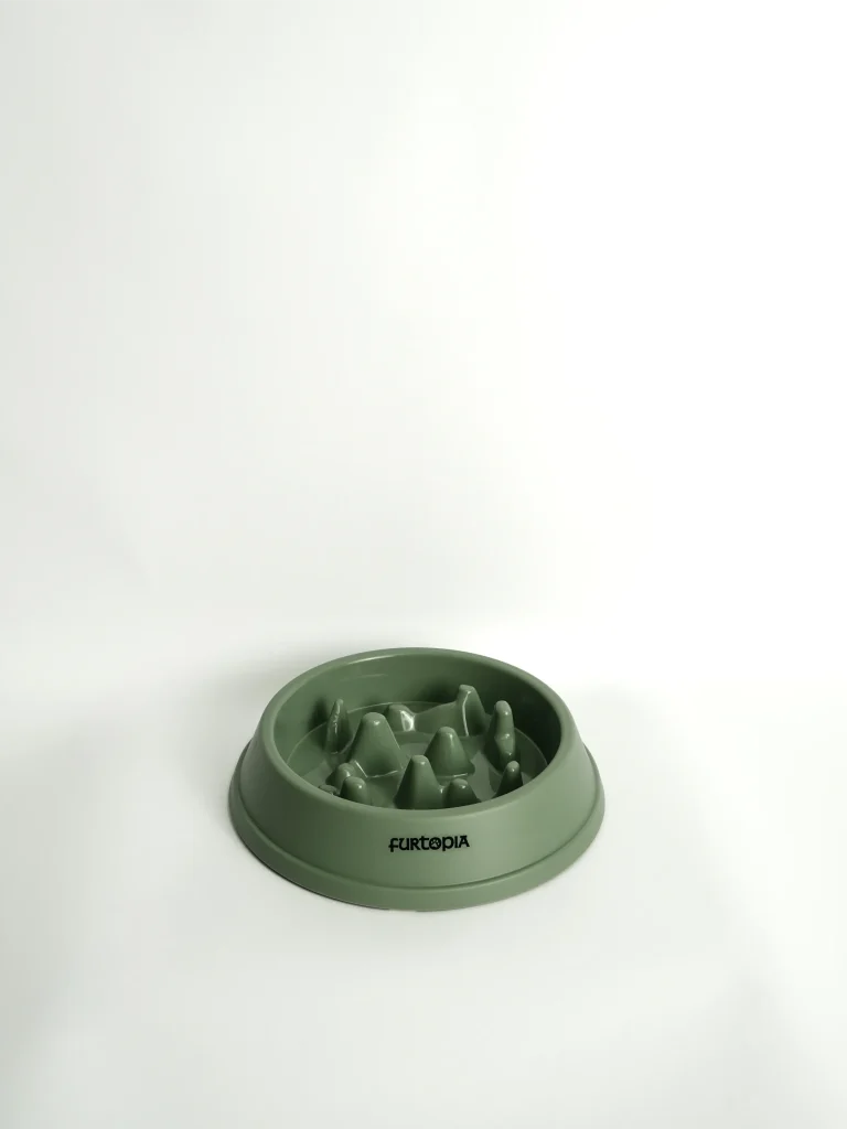 Pet Slow Feeder Bowl