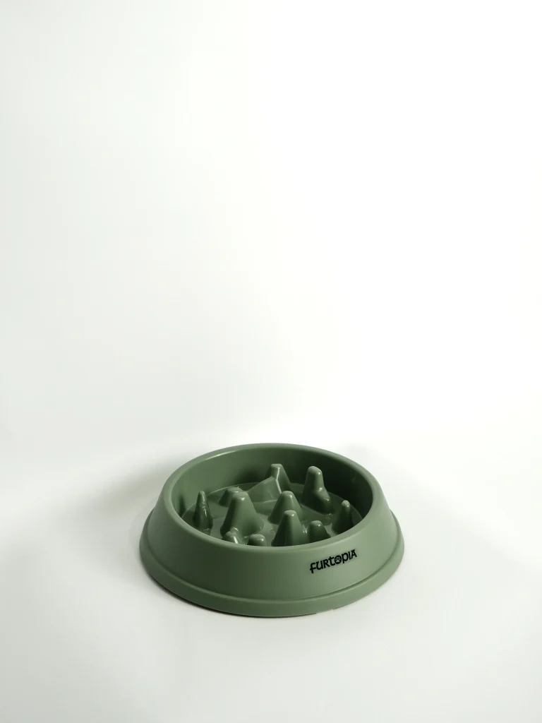 Pet Slow Feeder Bowl