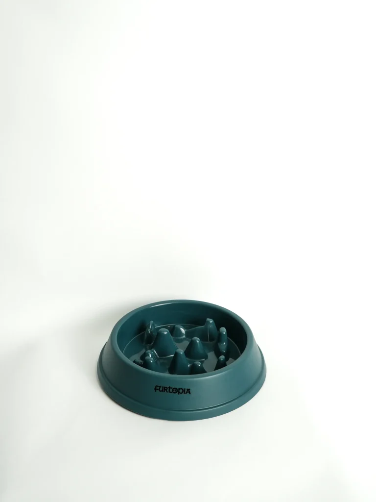 Pet Slow Feeder Bowl