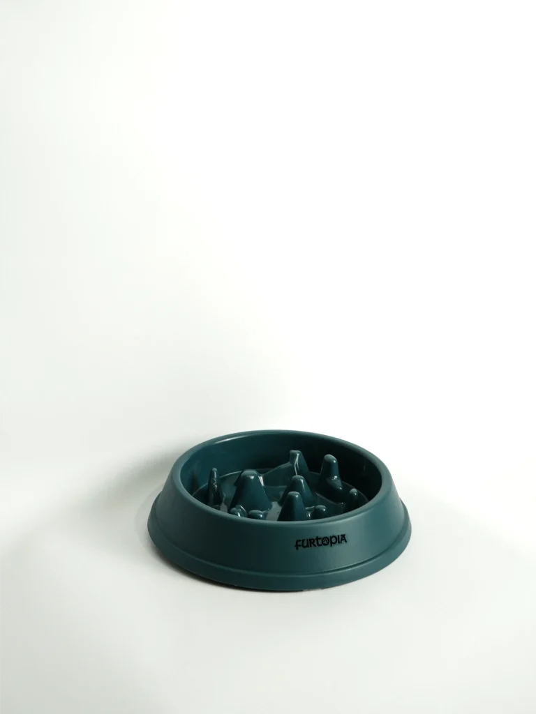 Pet Slow Feeder Bowl