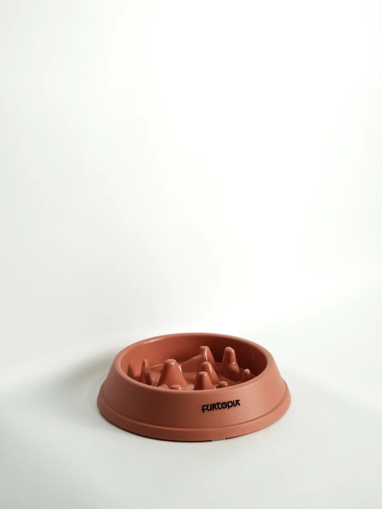 Pet Slow Feeder Bowl