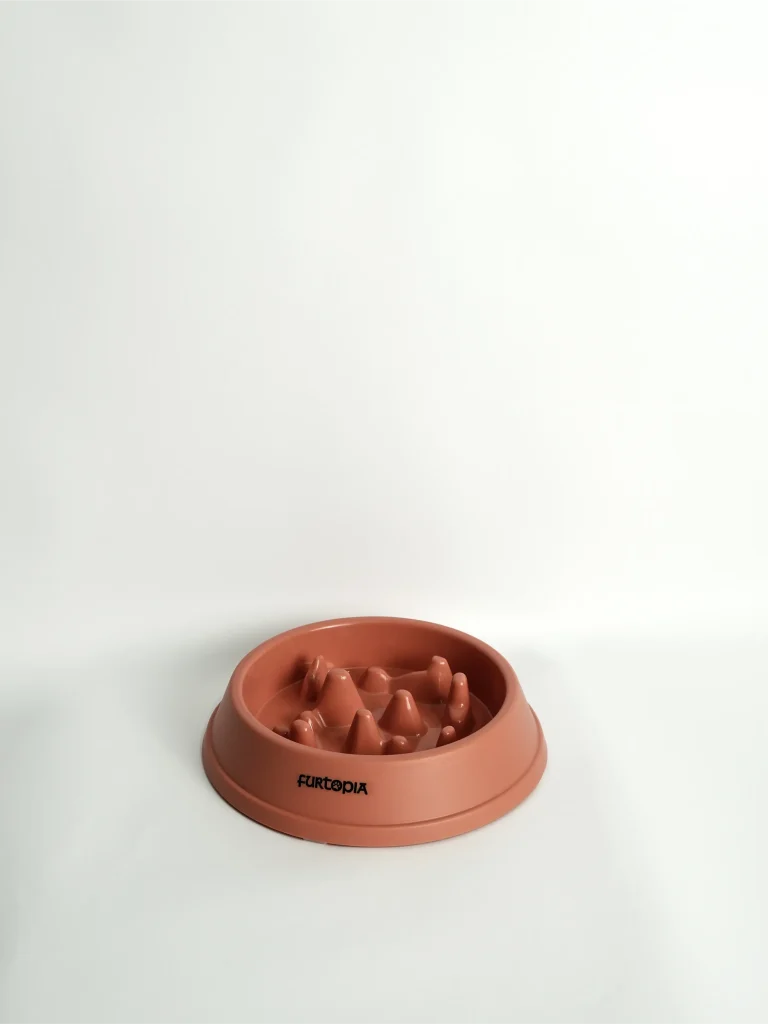 Pet Slow Feeder Bowl