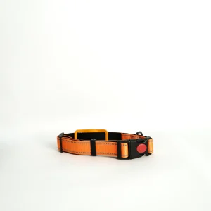 Peach Apple AirTag Dog Collar shown at a side angle, highlighting the secure integrated tracking holder.