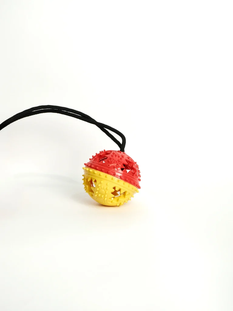 Interior view of the hollow center in the Dog Chew and Feeder Toy used for dispensing kibble and treats.